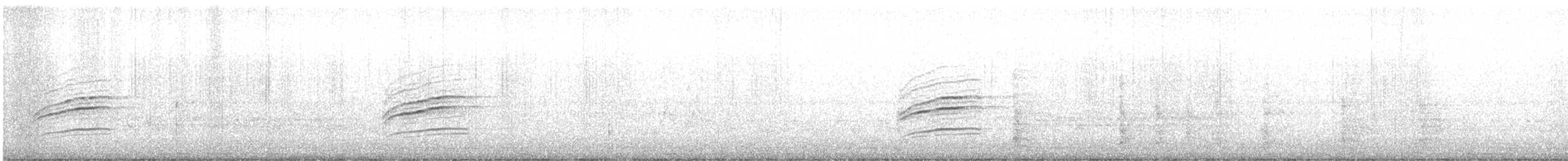 Einsiedler-Musendrossel - ML647715789
