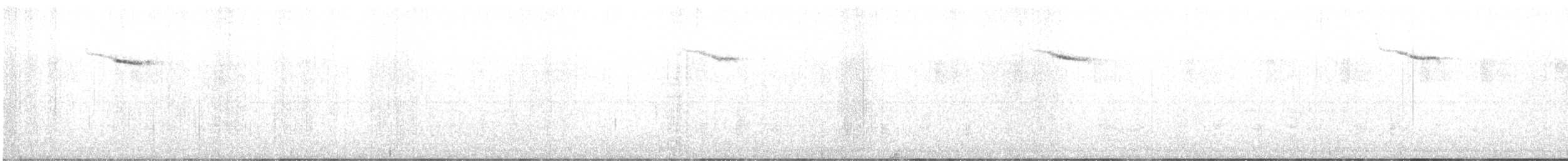 Einsiedler-Musendrossel - ML647715793