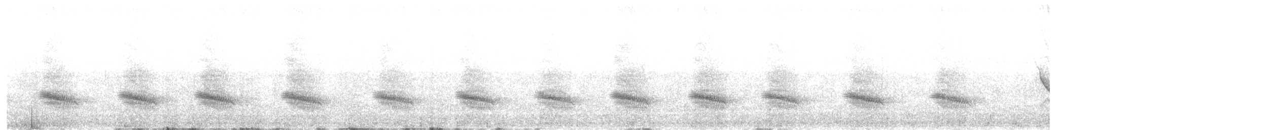 Turquoise Jay - ML647716479