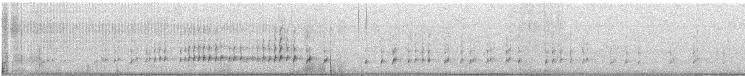 Carolina Wren - ML647716898