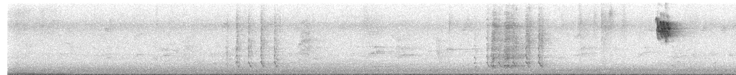 Red Wattlebird - ML647717175