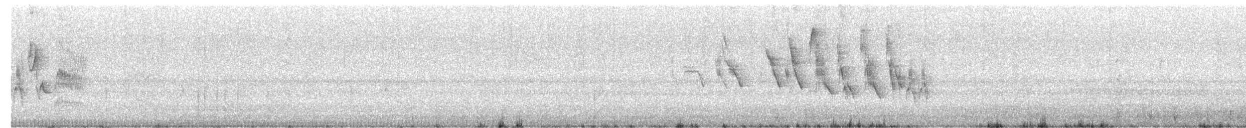 Double-collared Seedeater - ML647717177