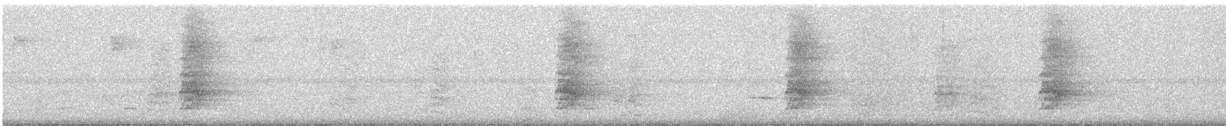 Pacific Parakeet - ML647717308