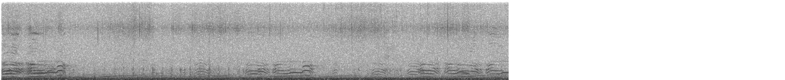 Long-tailed Duck - ML647717791