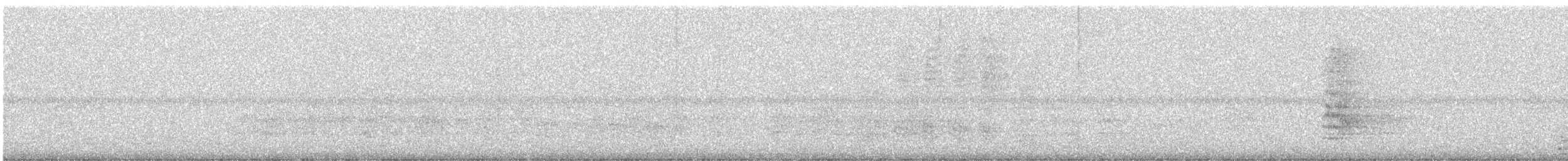 Gartered Violaceous Trogon - ML647717873