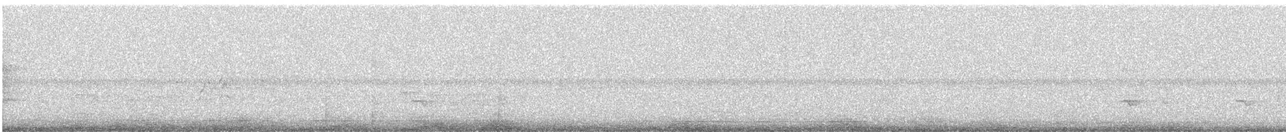 Gartered Violaceous Trogon - ML647717874