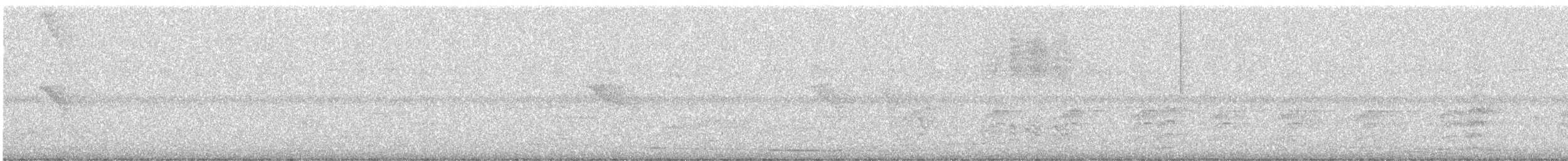 Gartered Violaceous Trogon - ML647717876