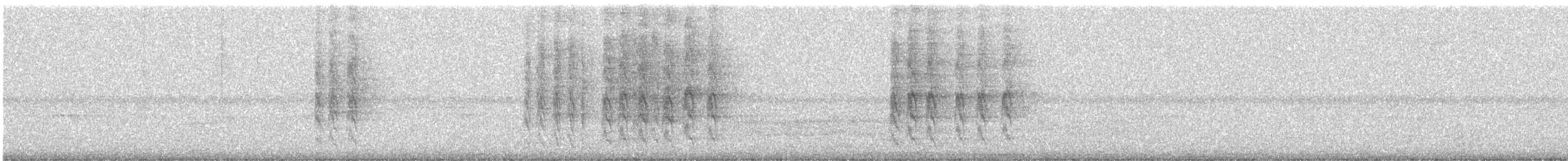 Gartered Violaceous Trogon - ML647717880