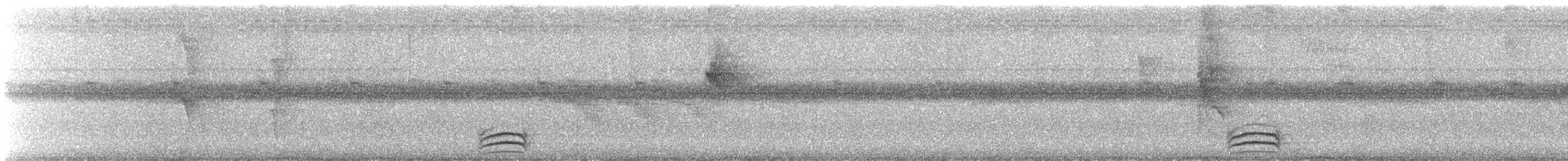 Variable Antshrike - ML647720539