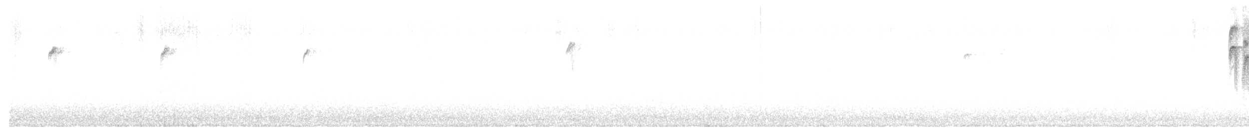 Black-capped Chickadee - ML647721654