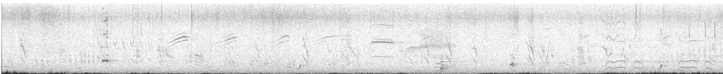 Moustached Turca - ML647722525