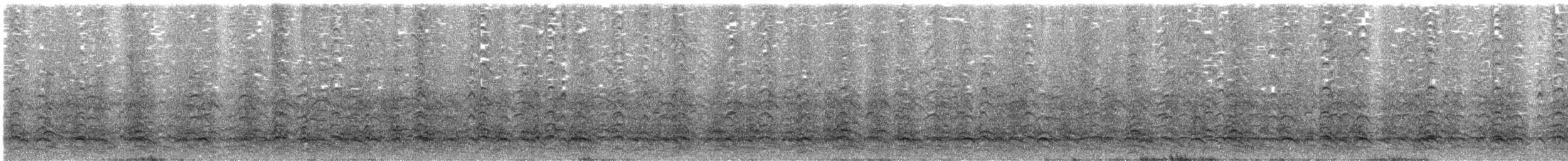 Dolphin Gull - ML647722727