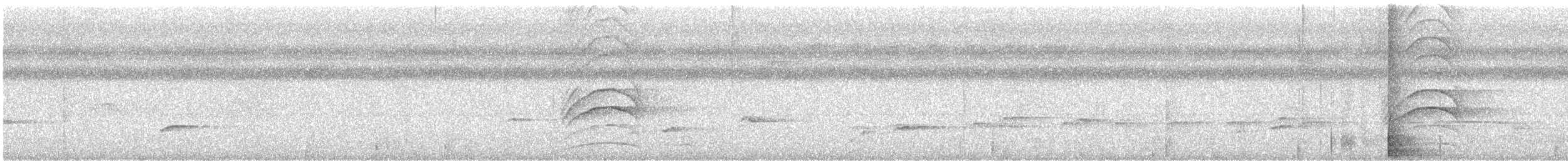 Great Kiskadee - ML647723209