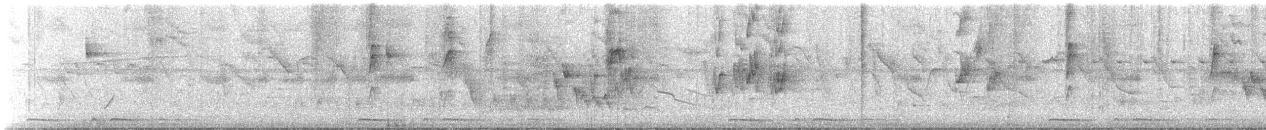 bird sp. - ML647723921