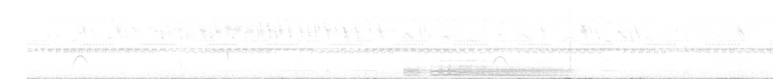 Fiofío Belicoso - ML647724079