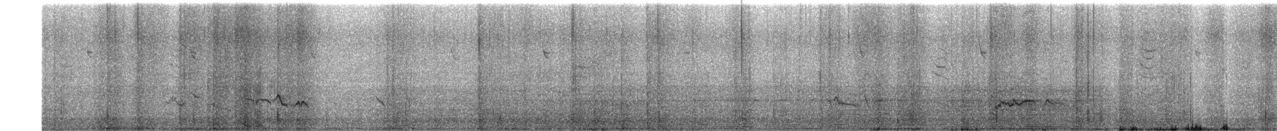 drozd brávník - ML647724206