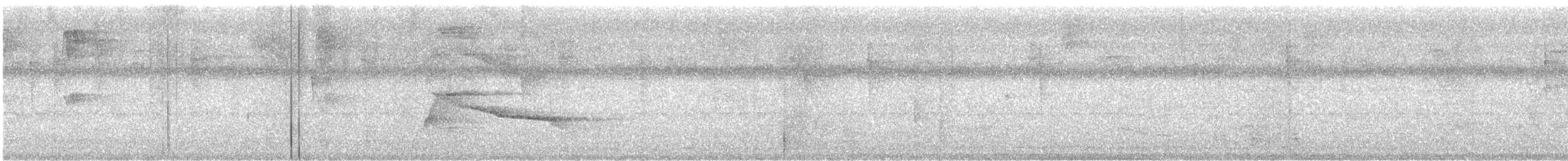 Gray-lined Hawk - ML647725039