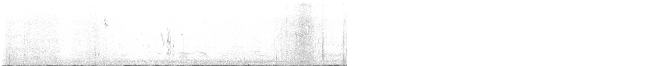 ostružka límcová - ML647725150