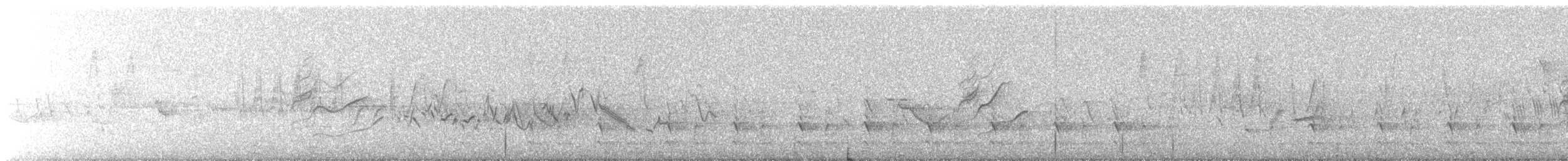 bekasina severoamerická - ML647725225