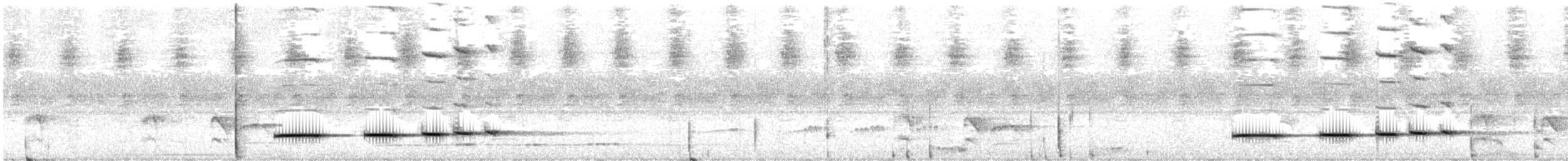 kukačka klínoocasá - ML647725234