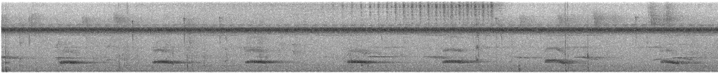 tukan hnědošíjný - ML647725268