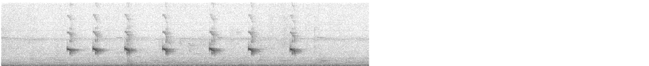 todi širokozobý - ML647725311