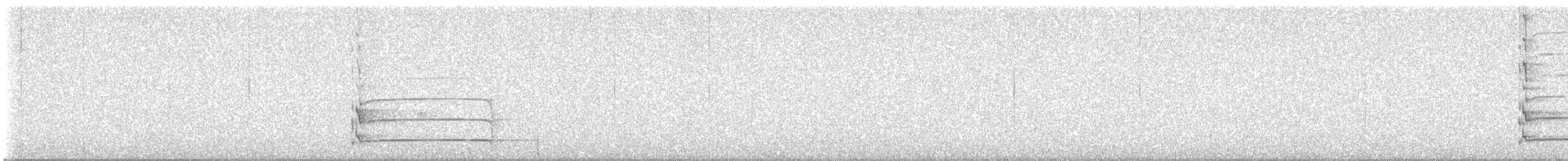 datel černý - ML647725422