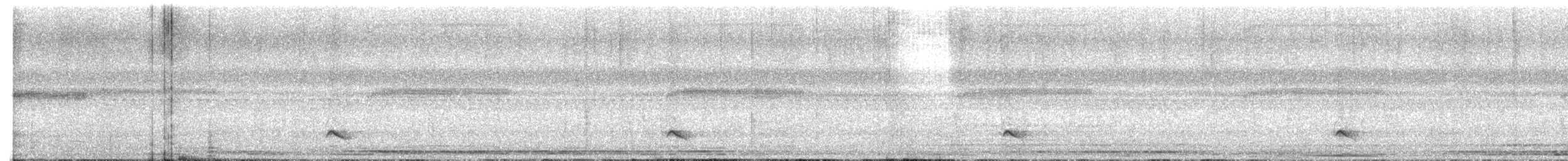 sokolec pralesní - ML647725774