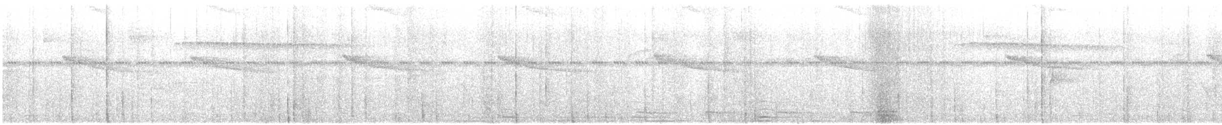 White-whiskered Puffbird - ML647726388