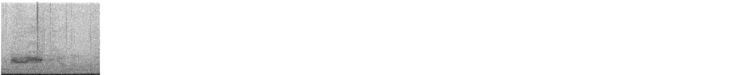 American Barn Owl - ML647726393