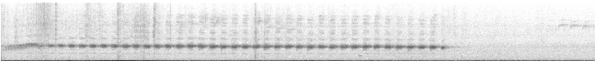 Sahul Cicadabird - ML647726535