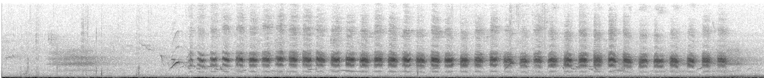 Sahul Cicadabird - ML647726536