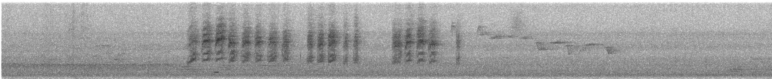 Large-billed Scrubwren - ML647726549