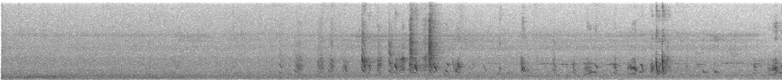 Spangled Drongo - ML647726623