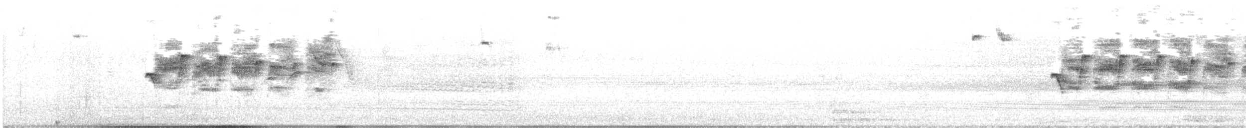 Rufous-tailed Antbird - ML647727347