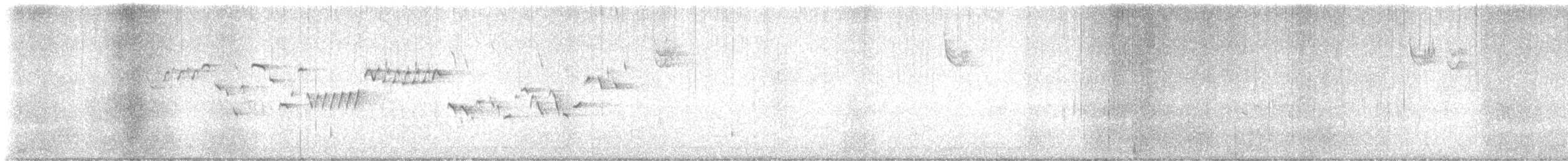 Winter Wren - ML647727592