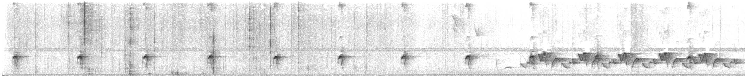 Brasilia Tapaculo - ML647727913