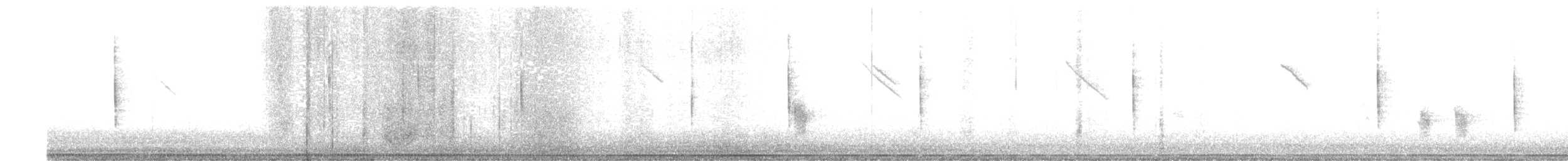 עלווית כהה - ML647728373