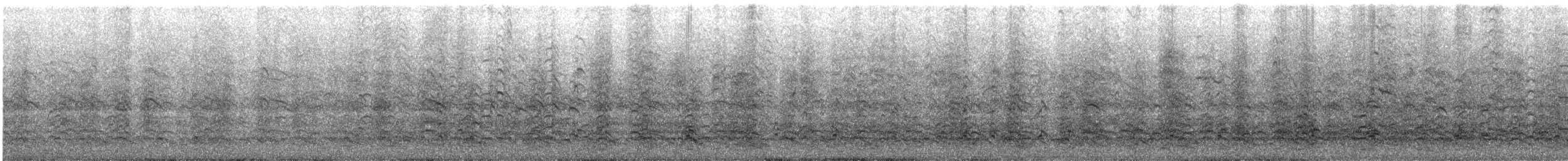 Dolphin Gull - ML647728644