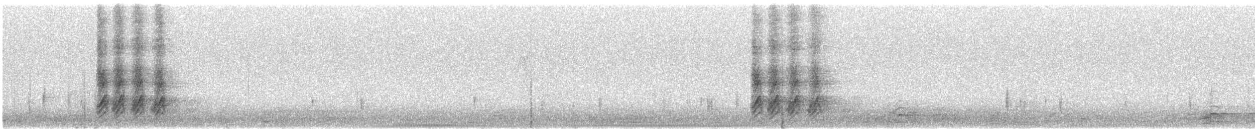 Black-billed Magpie - ML647729415