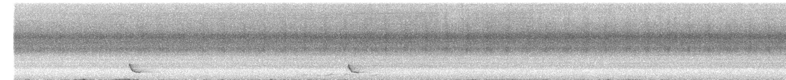 Little Friarbird - ML647729624