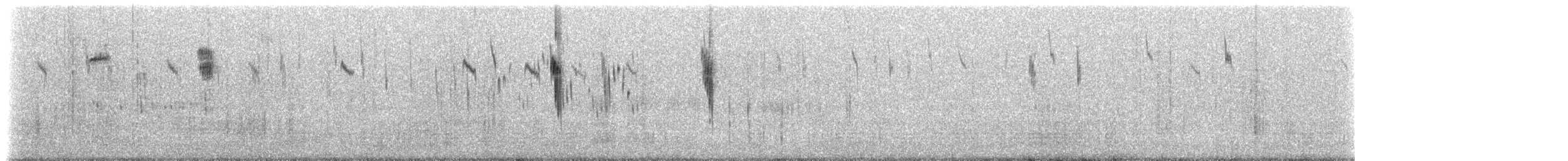 White-winged Fairywren (Blue-and-white) - ML647730062