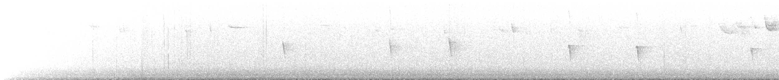 gråfibi - ML647730507