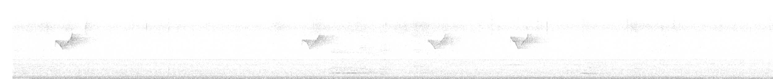 עלווית צהובת-גבות - ML647730703