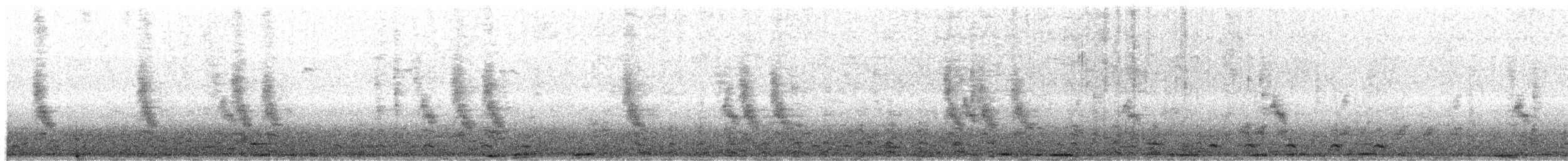 Bare-faced Ibis - ML647732072