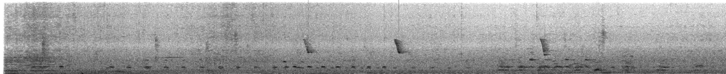 Bare-faced Ibis - ML647732073