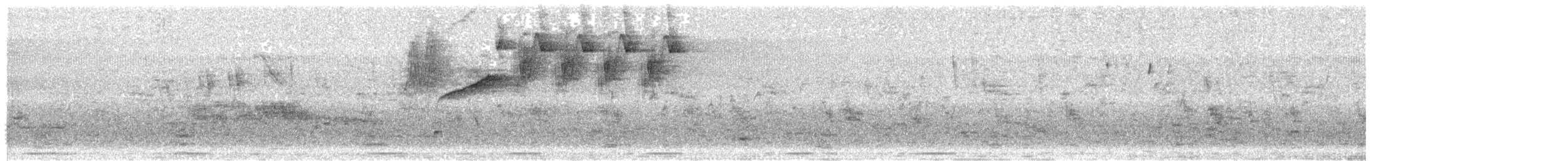 Bananaquit - ML647732082