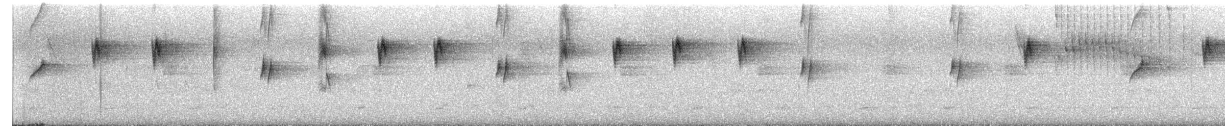 Чешуйчатогрудый саблекрыл - ML647732172