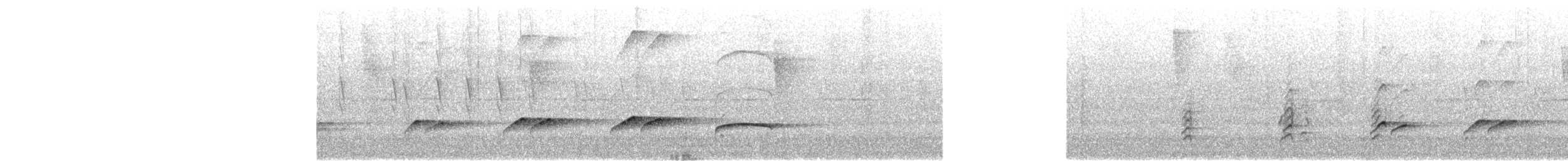 Bright-rumped Attila - ML647733156