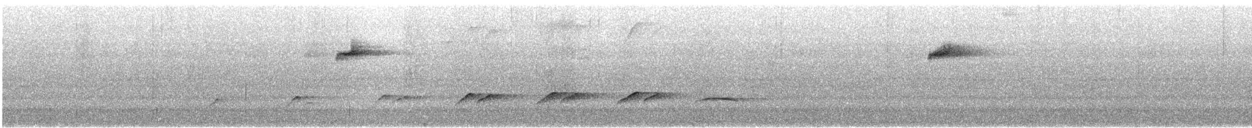 Bright-rumped Attila - ML647733157